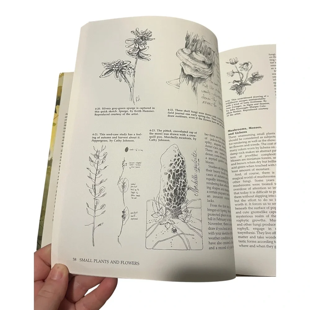 Drawing and Painting from Nature Cathy Johnson 1st Ed 1st Printing 1989 Art Book